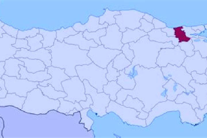 Sophia, 30 — Escort in Hellaby, United Kingdom
