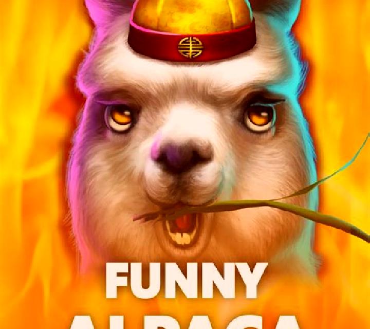 Stella, 31, a black dark-eyed european companion based in Ciagowice. Offering Couples, Prostate Massage, Deep French Kissing. Available for incall and outcal...