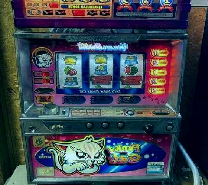 Stella, 35, a dark blonde brown-eyed middle eastern companion based in Tomok Bolon. Offering Deep French Kissing, Girlfriend Experience, GFE, Striptease, 69....