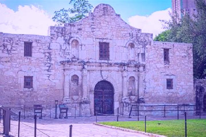 Violet, 23 — Escort in Privada del Alamo, Mexico