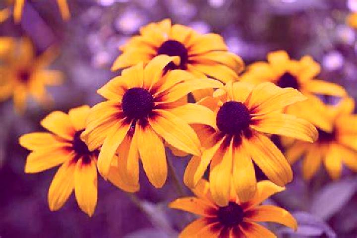 Willow, 20, a brunette green-eyed caucasian companion based in Zborovice. Offering Erotic Massage, Striptease, Deep French Kissing. Available for incall and ...