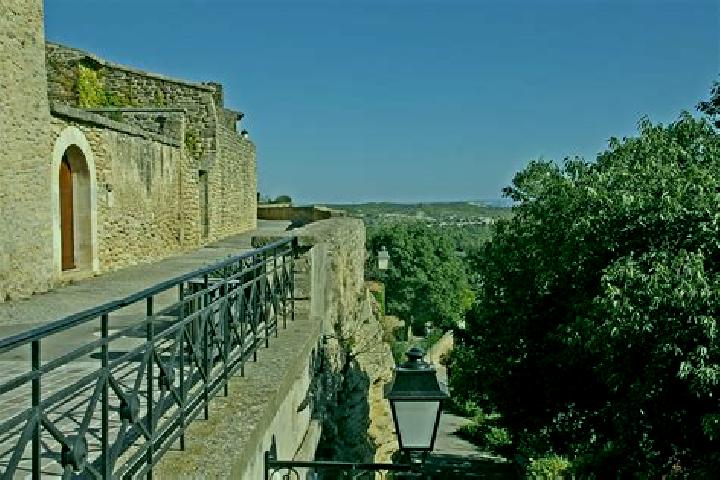 Willow, 21 — Escort in Purisima de Arista, Mexico