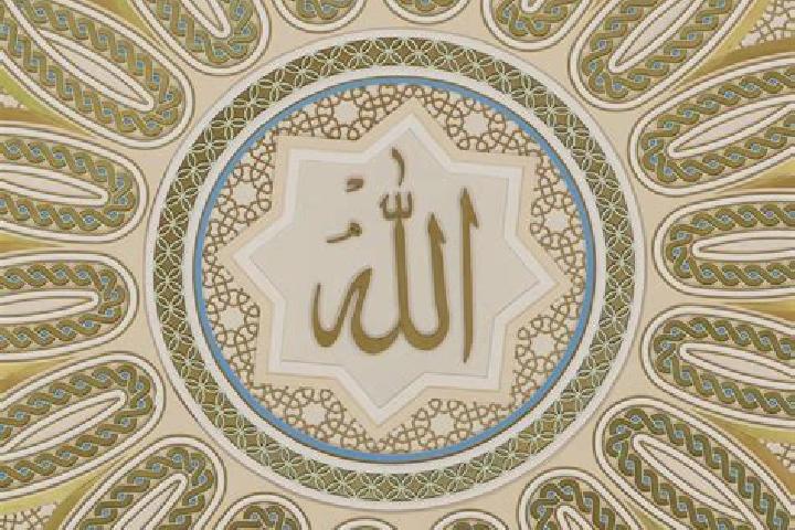 Willow, 31, a brunette brown-eyed slavic companion based in Guacamayas. Offering CIM, Dinner Date, Striptease, 69. Available for incall and outcall, day and ...