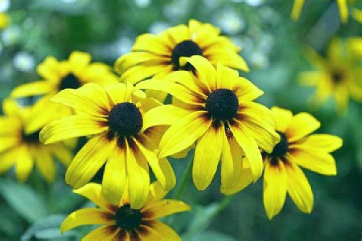 Zoe, 36, a platinum blonde amber-eyed caucasian companion based in Frelichow. Offering Roleplay, Dinner Date, GFE, Tantra, Travel Companion. Available for in...