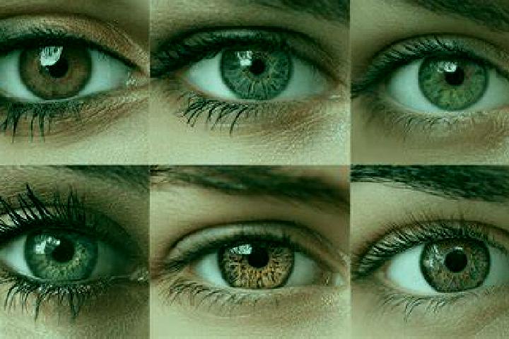 Zoey, 32, a chestnut brown-eyed middle eastern companion based in Roda de Bara. Offering Tantra, Fetish, OWO. Available for incall and outcall, overnight boo...